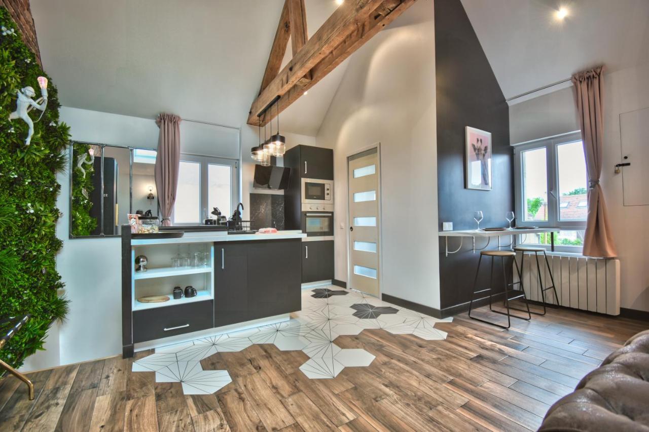 * Le Loft Des Mysteres * Apartment Maintenon Exterior foto