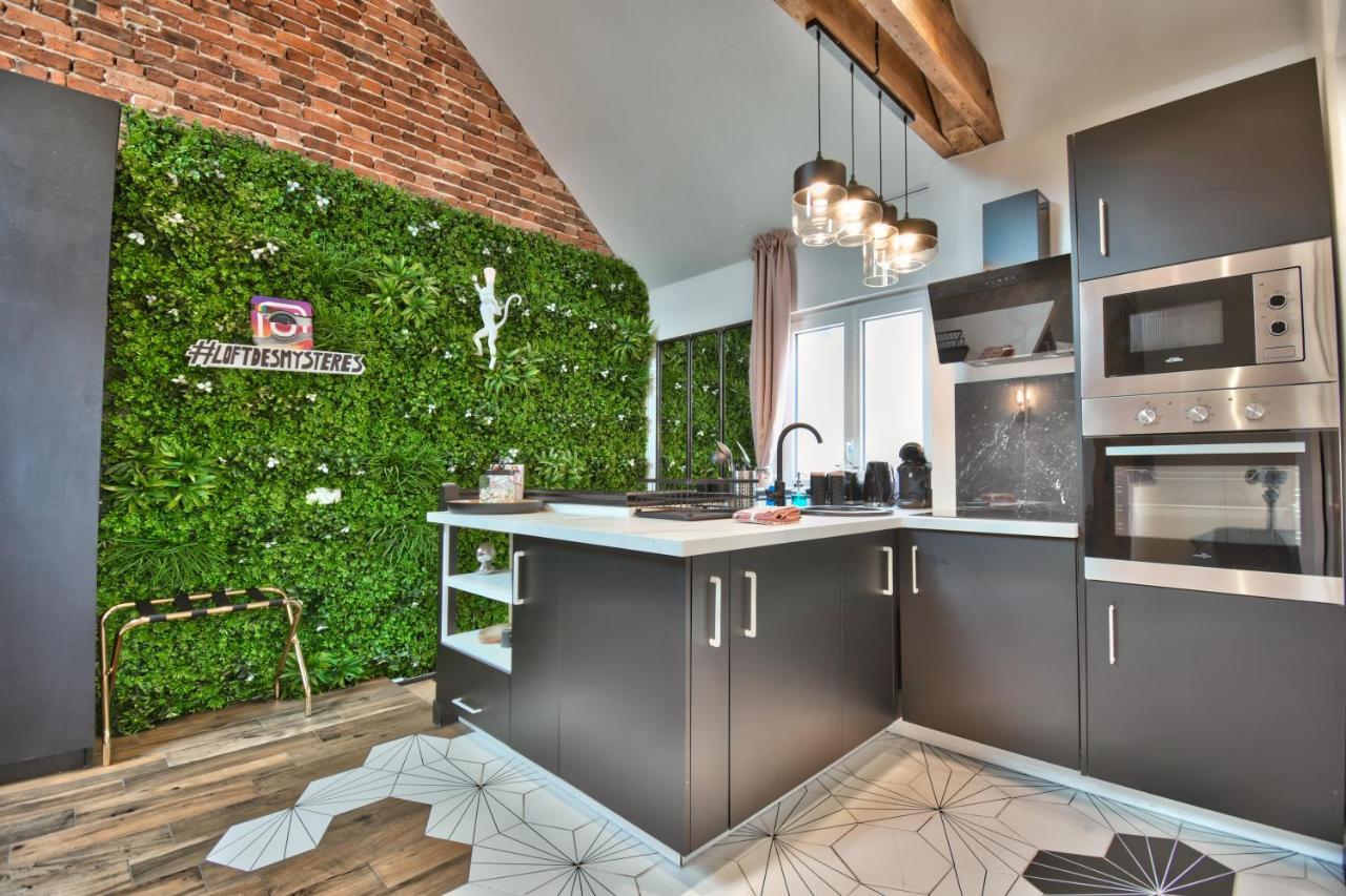 * Le Loft Des Mysteres * Apartment Maintenon Exterior foto