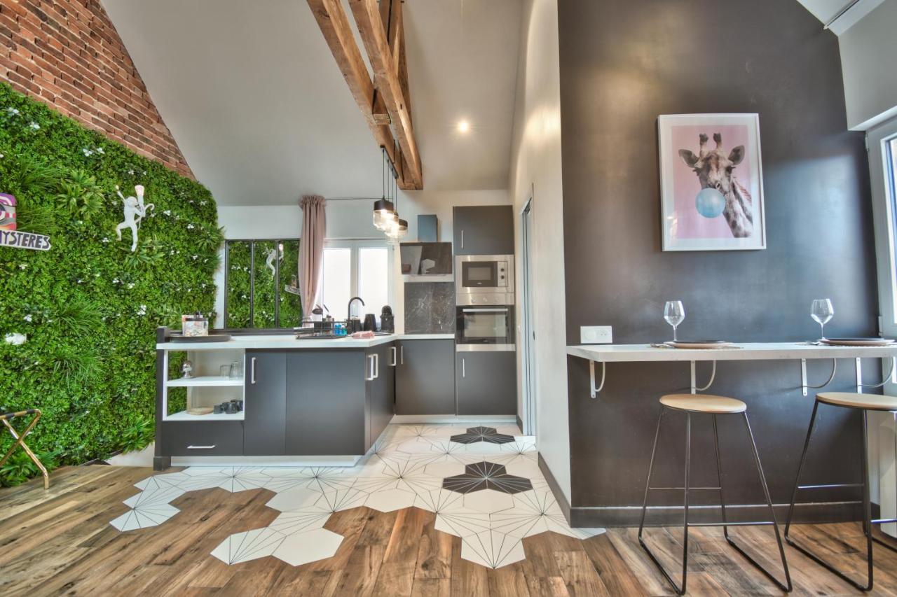 * Le Loft Des Mysteres * Apartment Maintenon Exterior foto